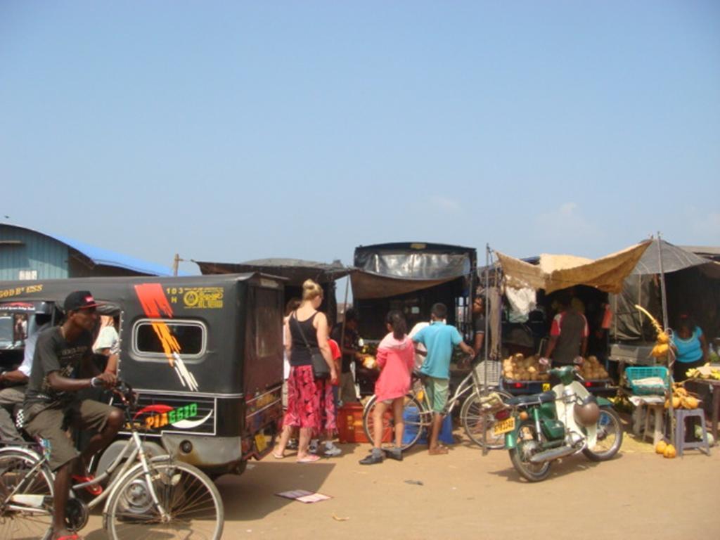 Randi Homestay In נגומבו מראה חיצוני תמונה